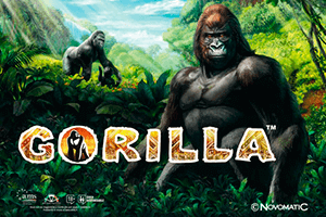 Gorilla – играйте в автомат от компании Novomatic